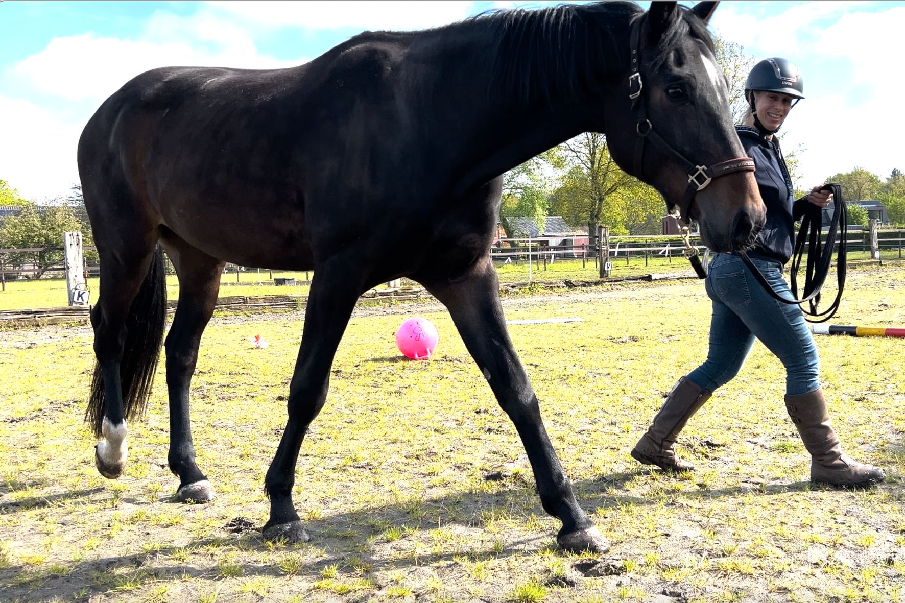 jong paard zadelmak zonder spanning