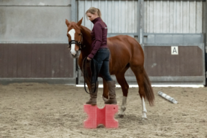 stress-spanning-bij-paarden-op-wedstrijd
